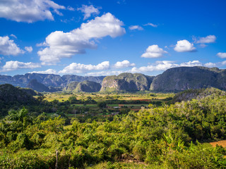 Green mountain landscape in the valley of vinales in cuba