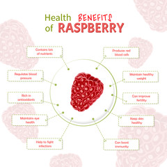 Health Benefits of raspberry. raspberries nutrients infographic template vector illustration. Fresh Fruits