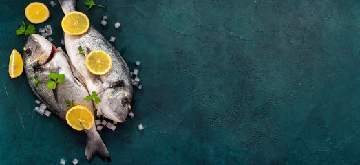 Long banner with zwo dorado fishes on dark