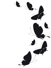 butterfly499