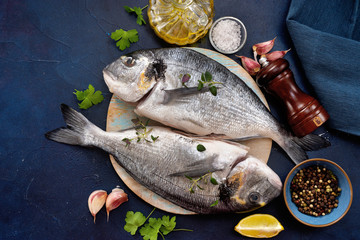 Close up of fresh dorado fishes on dark blue background