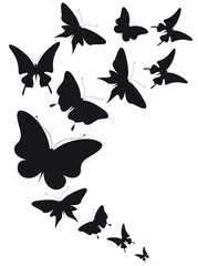 butterfly495
