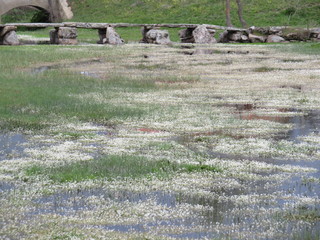 Beautiful and old stone bridge very old that allows us to pass the river