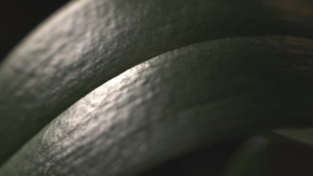 The Long Midrib And The Small Veins Of The Dark Green Leaf. -close up shot