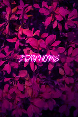 Stay home glowing neon title on leaves background. Layout for motivation poster, banner, wallpaper. Wall art decoration. Stock illustration
