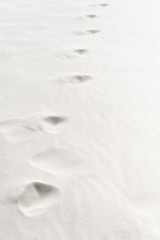 beach with traces on clean white textured sand