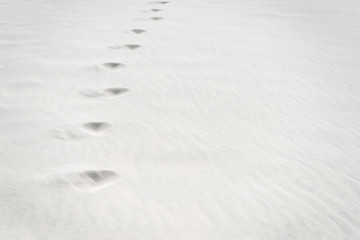 beach with traces on clean white textured sand