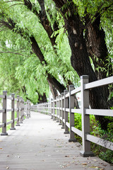 The promenade in the park.