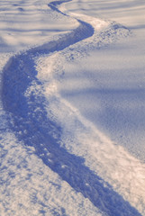 Fototapeta na wymiar Snowboarder tracks in the snow
