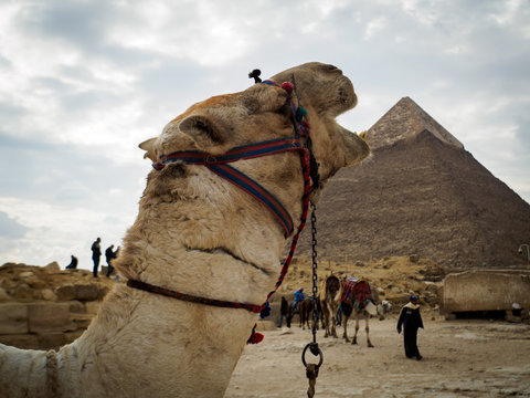 mhh yummy I like this pyramid