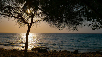 Fototapeta na wymiar Sunset at Caribbean Sea, Baru Island. Paradise tropical beach in Cartagena, Colombia.