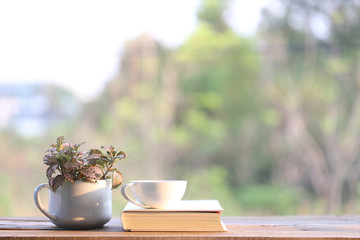 notebook and white coffee cup with red plant Nerve plant in small cup pot on wooden table at outside