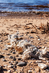 A tangled fishing net discharged ashore the Baltic Sea after a storm. Environmental pollution