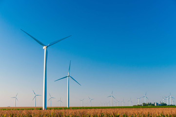 Large wind turbine farm against a blue sky at sunset, Dexter, Minnesota, USA