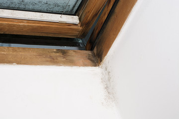 moisture on the window pane and in the corner of the wall, insufficient ventilation and thermal insulation