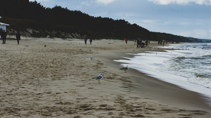 Plaża Morza Bałtyckiego  © spacer.z.aparatem 