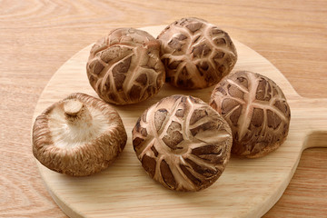 Shiitake mushroom   椎茸　生どんこ