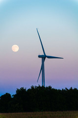 Silhouette of large wind turbine farm at sunset, Dexter, Minnesota, USA
