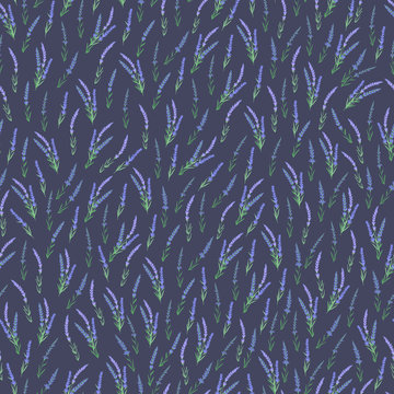 Vector seamless pattern with lavender