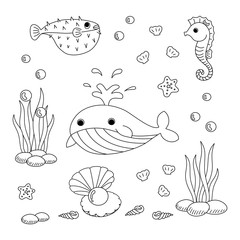 Hand draw doodle set of sea life, ocean animal character and aquatic plants