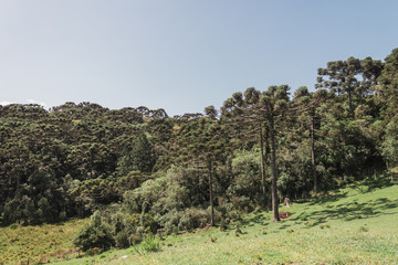 Região Serrana Brasil Montanhas Natureza Landscape Brazil Nature