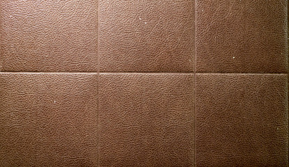 Fototapeta premium the texture of the door cladding