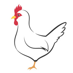 鶏のイラスト_白