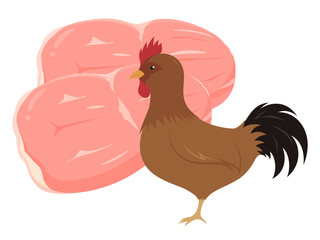鶏もも肉と地鶏のイラスト