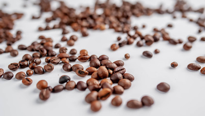 coffee beans on a white background