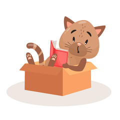 Vector cute cat sitting in the box. Cat reading book illustration. Pet vector image on white isolated background