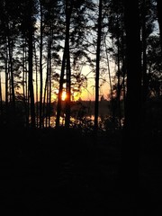 Fototapeta na wymiar sunset on lake