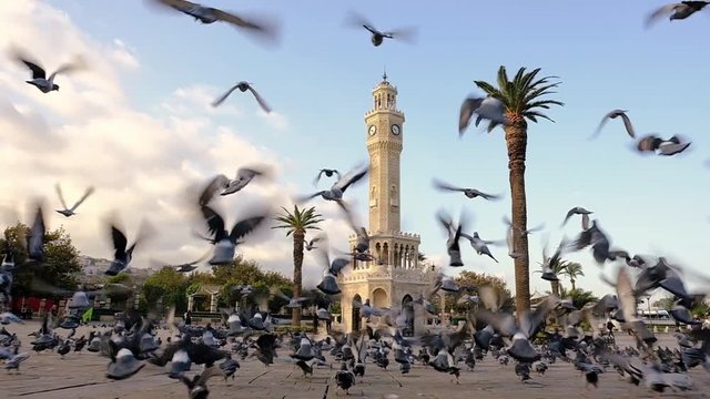 Flock of pigeons flying around the Izmir Clock Tower in Izmir, Turkey.