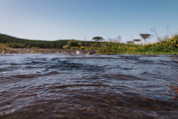 Brazilian Nature Landscapes River Farm Animals