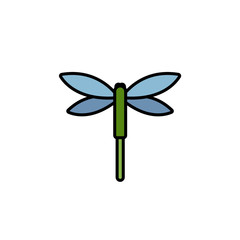 Dragonfly. Filled color icon. Animal vector illustration