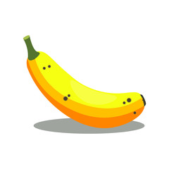 Yellow banana. Vector of fresh banana fruit isolated on white background, vector illustration