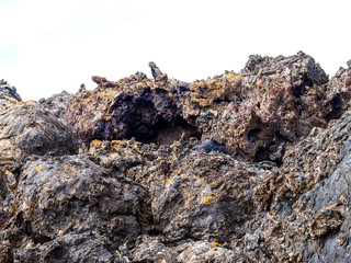 Timanfaya National Park is a national park in the Canary Islands