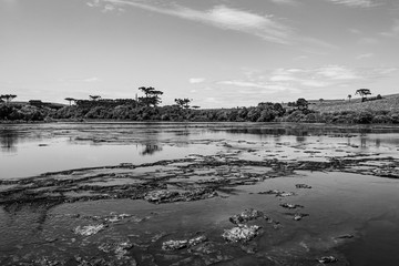 Brazilian Nature Landscapes River Farm Animals