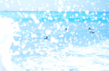 海　sea　mar