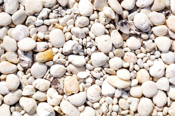 white pebbles on the beach stone background