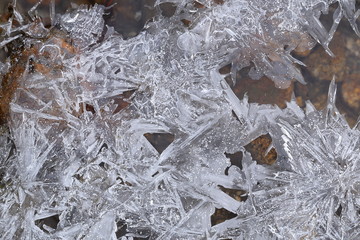 Obraz premium 氷の結晶