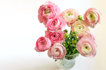 Bouquet of pink ranunculus or buttercups in the glass vase on the white background isolated, top view. Nice present for greeting with Mom's day, Women da, Valentine's day or Easter.