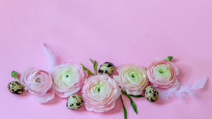 Pastel pink ranunculus with quail spotted eggs on the pink background. Nice art design for greeting with happy easter holiday.