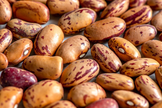 Uncooked Pinto Beans Closeup