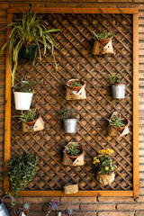 Stock photo of a city vertical garden.