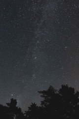 Obraz premium Stars, milky way, night sky over the forest trees silhouettes
