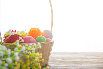Virus model of Coronavirus disease COVID-19 with colorful easter eggs in basket with flowers on a...
