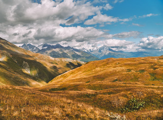 Beautiful high altitude meadows in Svaneti region of Caucasus mountains