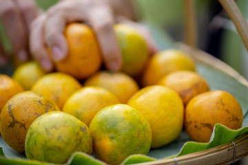 Somebody's hand is grapping one of group of tangerine in the basket in the soft light of the morning. 