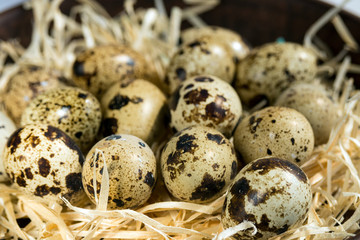 Obraz premium Quail eggs on a wooden chip. A closeup. Easter concept.