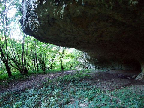 The canyon of the Pazincica river before the abyss and the Pazin cave - Pazin, Croatia (Kanjon rijeke Pazincice pred ponorom i pecinom Pazinska jama - Pazin, Hrvatska)